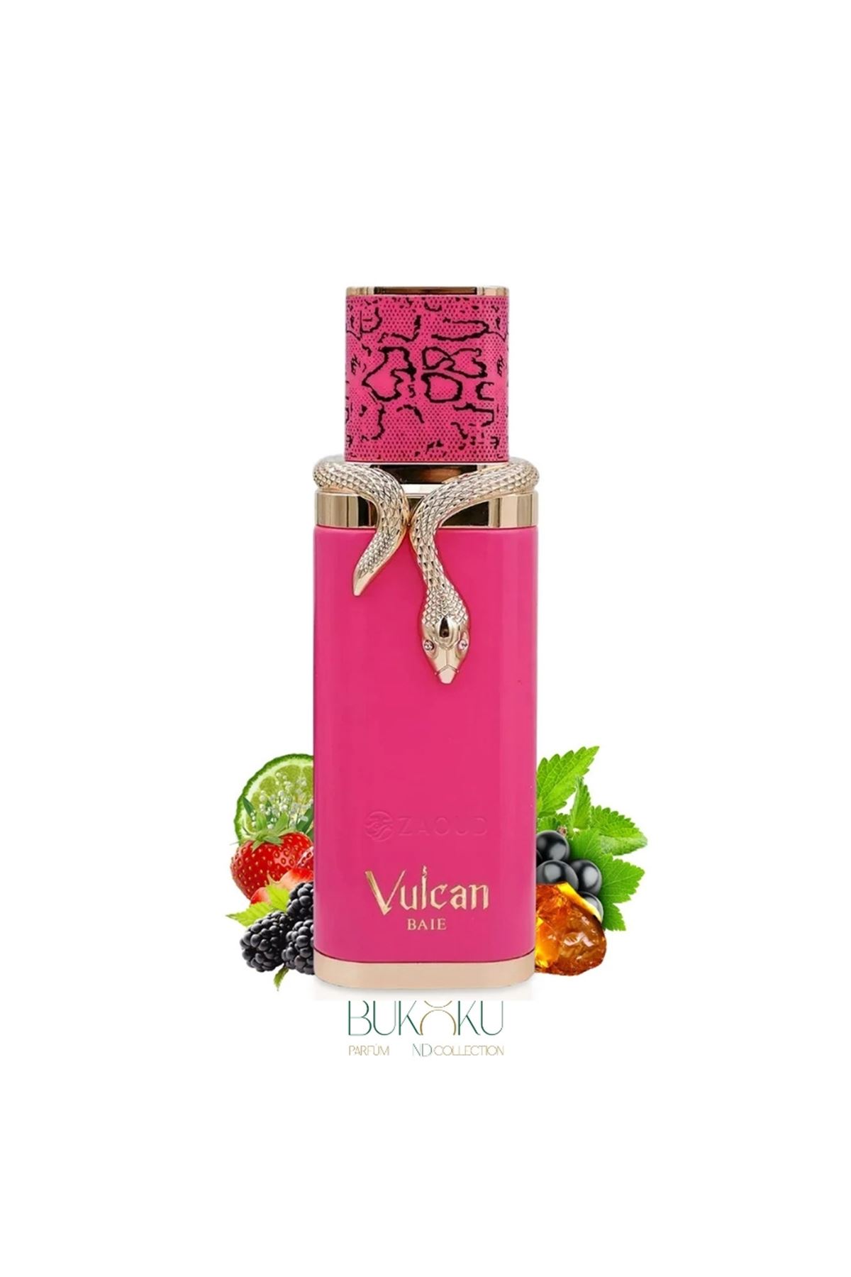 VULCAN BAEI