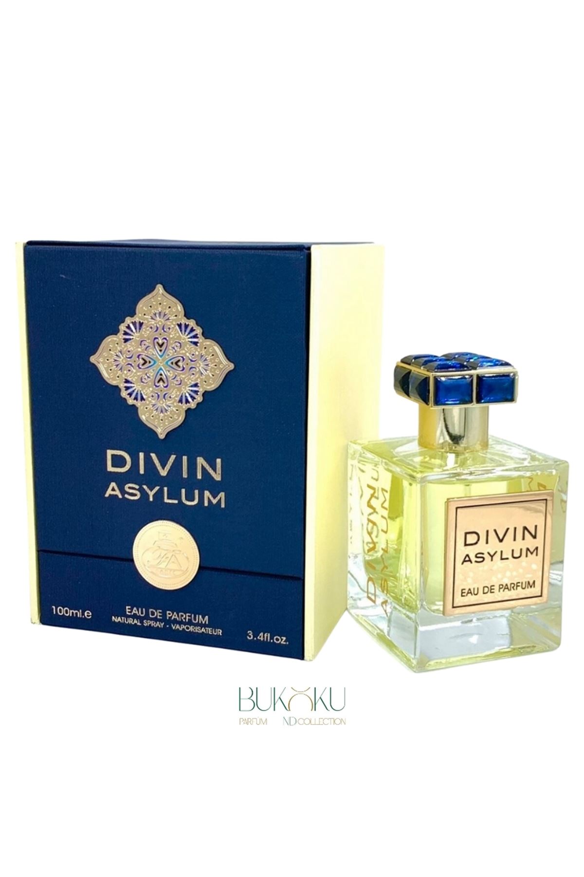 DIVIN ASYLUM